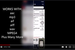 The iXflash App is able to play audio formats not supported by Apple's iOS on an iPhone and iPad